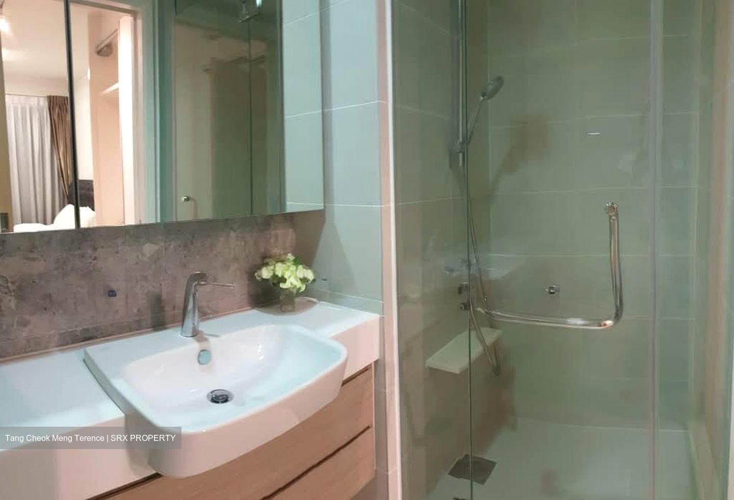 The Lakefront Residences (D22), Condominium #605477261